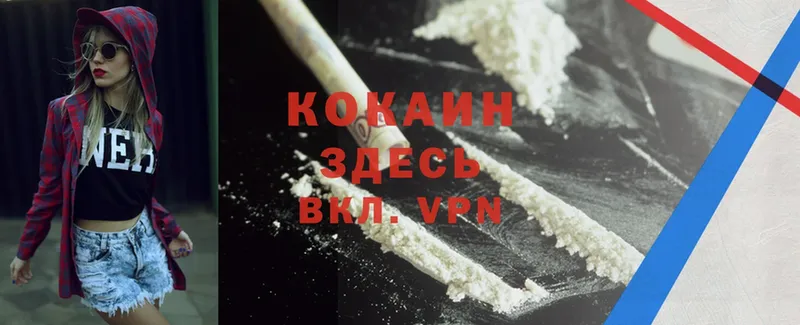 Где купить наркотики Новоузенск ГАШИШ  Cocaine  АМФ  МАРИХУАНА  Мефедрон 